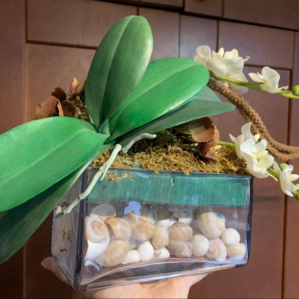 SALE!! Orchid and shells artificial flower arrangement.